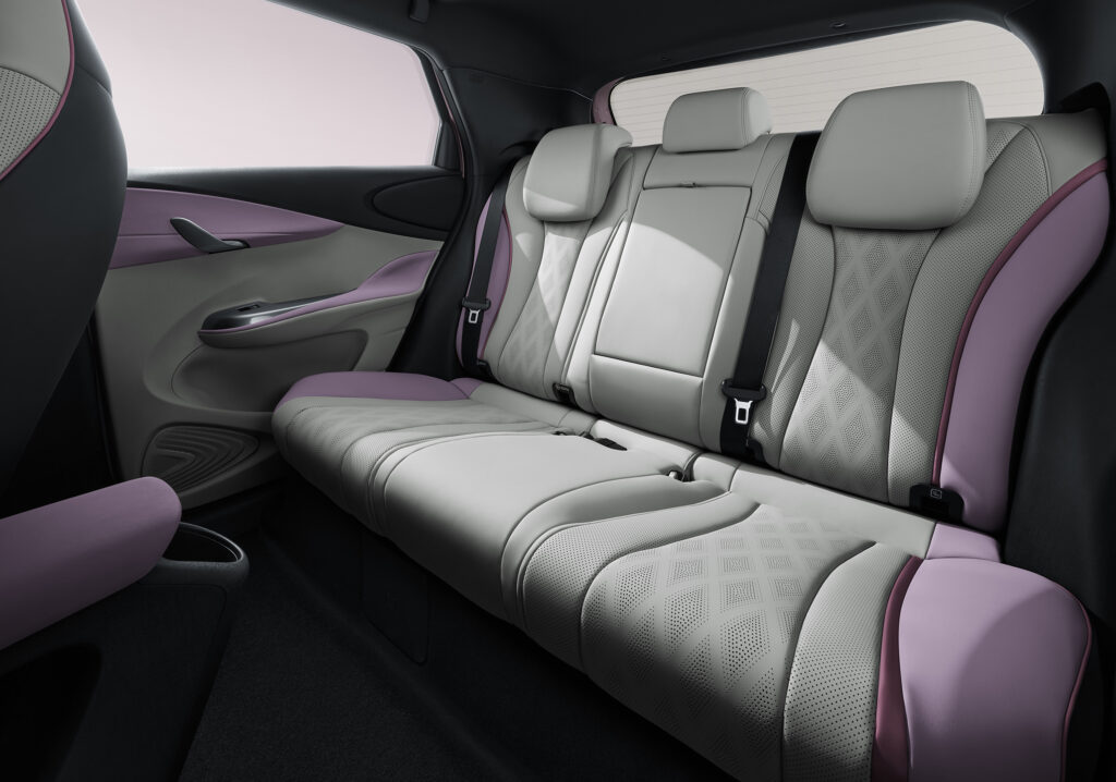byd-serpong-dolphin-passenger