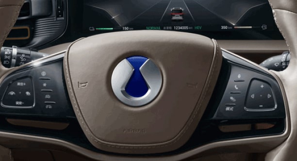 byd_denza_d9_dashboard_panel